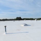 TPO Roof System